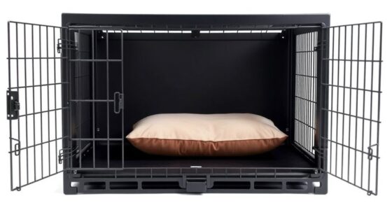 heavy duty crate with divider