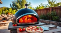top amazon outdoor pizza ovens