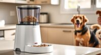 top automatic pet feeders