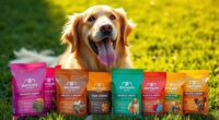 top dog food brands
