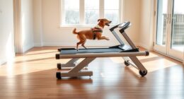 top dog treadmills 2025