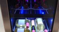 top dual zone wine coolers