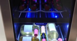 top dual zone wine coolers
