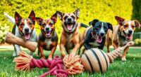top long lasting dog toys