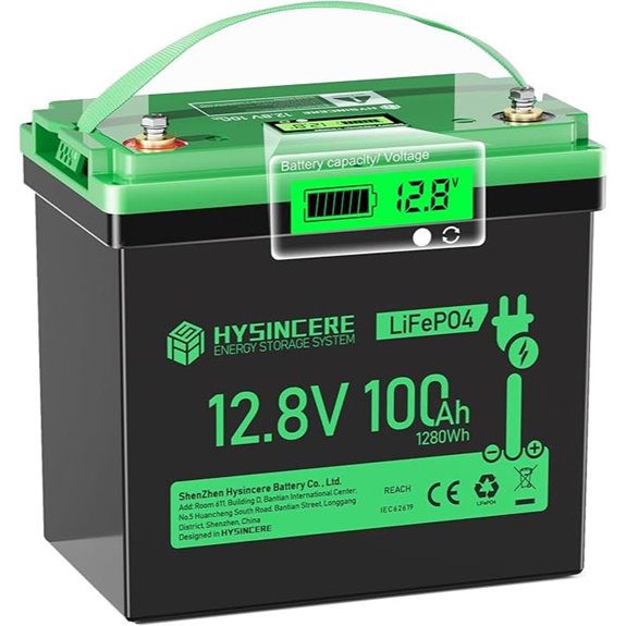 12V 100Ah Lithium Deep Cycle Battery with BMS