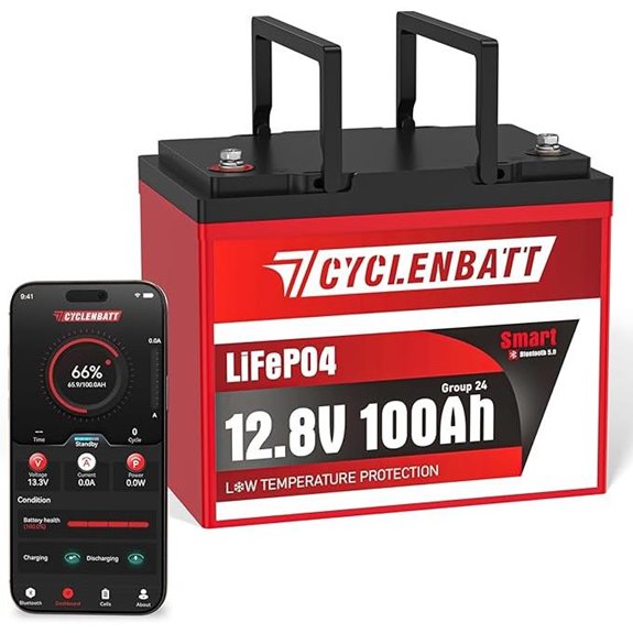 12V 100Ah LiFePO4 Battery with Bluetooth Monitoring