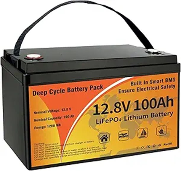 12V 100Ah LiFePO4 Battery with BMS and Long Life