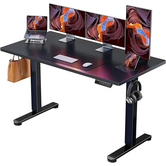 ErGear Adjustable Electric Sit-Stand Desk (Black)