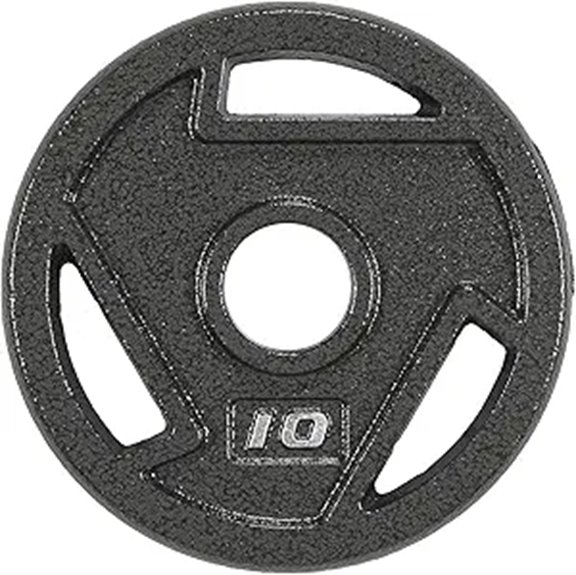 Elevon Cast Iron Weight Plate for Strength Training