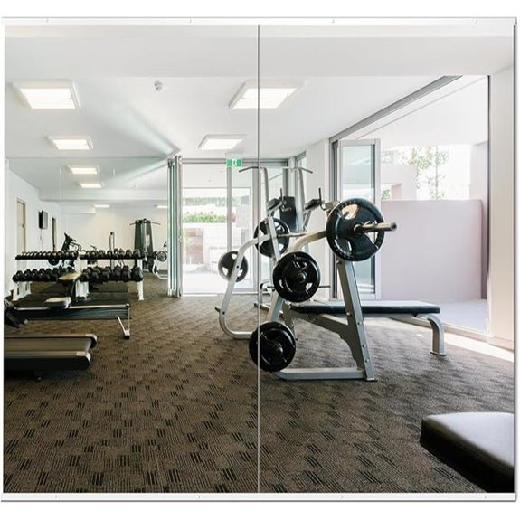 Delma Home Gym Wall Mirror 54