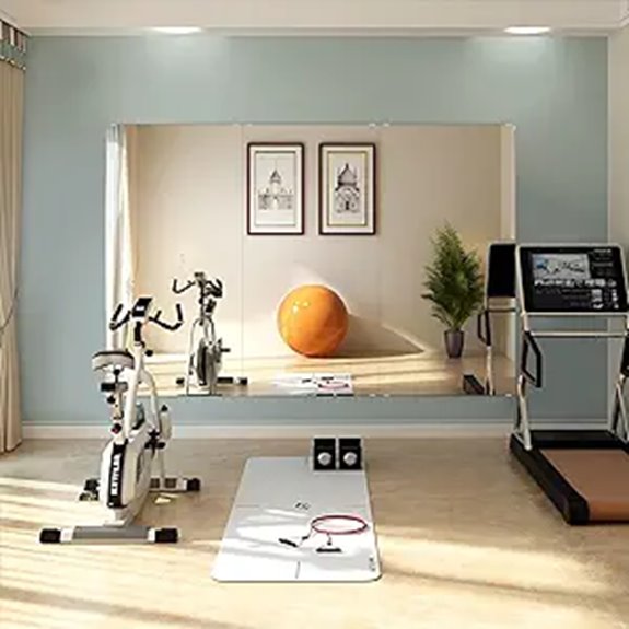 Murrey Home Gym Mirror 2PCS Wall Mount Frameless