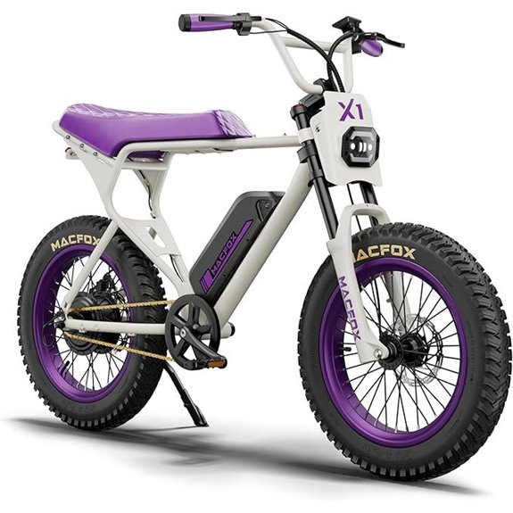 electric fat tire bike
