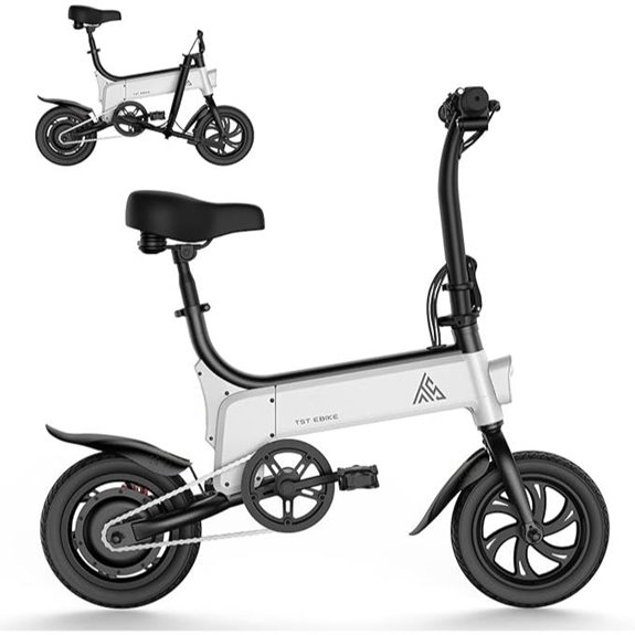 TST Folding Electric Bike for Adults and Teens