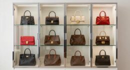 handbag display cabinet options