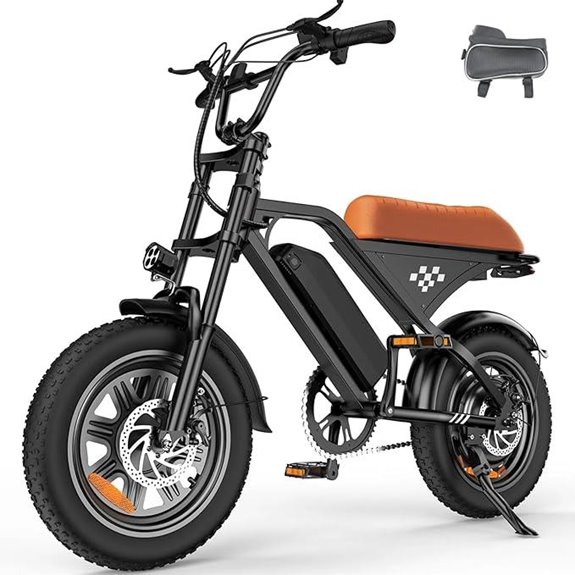 heavy duty electric bike