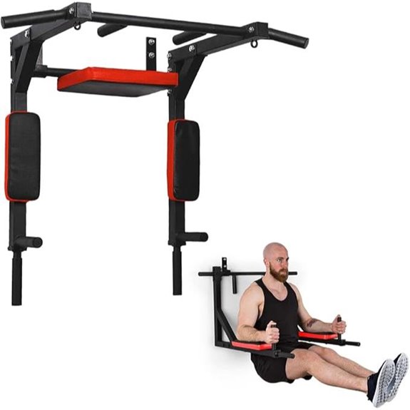 Wall Mounted Pull Up Bar & Dip Station for Home Gym