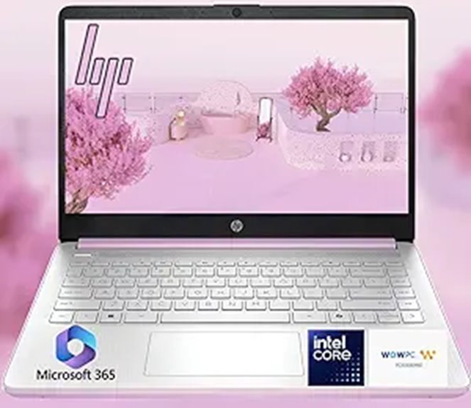 hp 14 ultrabook 16gb ram