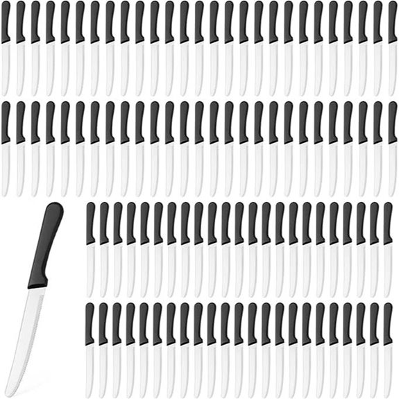Zhehao 100 Pcs Serrated Steak Knives with Handles