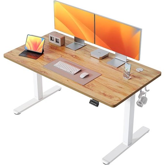 FEZIBO 55x24 Inch Electric Sit-Stand Desk