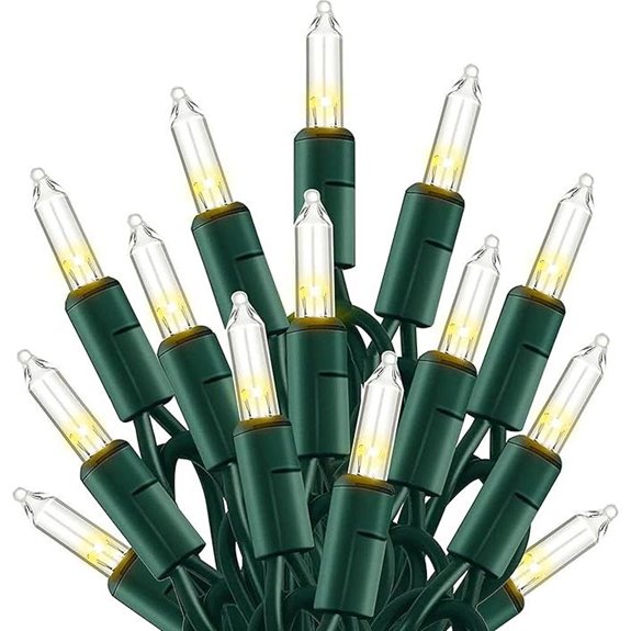 TW SHINE 100 Count Christmas Lights Outdoor 20FT