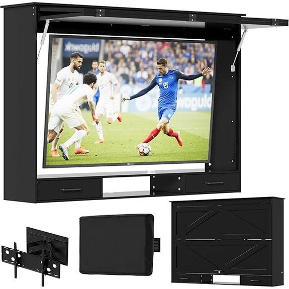 PAKASEPT Outdoor TV Enclosure for 55” TVs