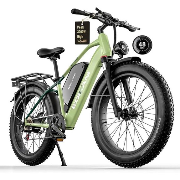 Electric Mountain Bike with 3000W Motor and Fat Tires