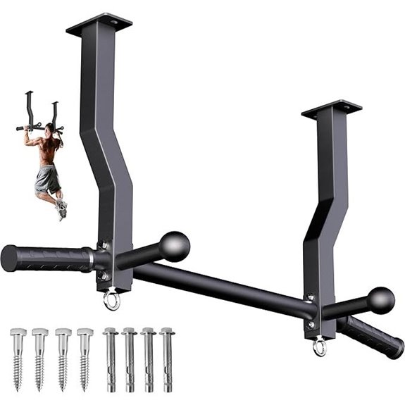 Heavy Duty Ceiling Mount Pull Up Bar