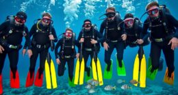 top dive computer gear