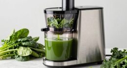 top juicers for greens