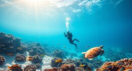 top underwater scuba cameras