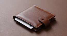 top vegan wallet picks