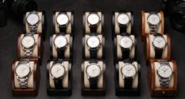 top watch winder options