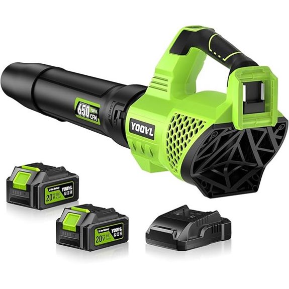 Cordless Electric Leaf Blower with 2 Batteries