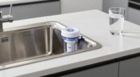 top lead removing sink filters