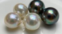 types of cultured pearls