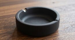 elegant practical smoking accessory