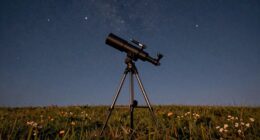 stargazing remains elegant fascination