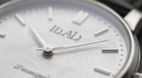 subtle watch finishing details