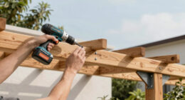 12 Best Best Premium Pergolas Amazon in 2026