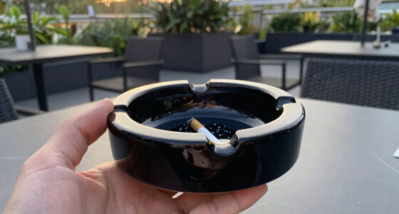 7 Best Best Premium Ashtrays Amazon in 2026