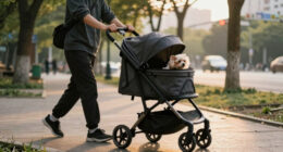9 Best Best Premium Pet Strollers Amazon in 2026
