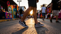 11 Best Vans Day of the Dead Shoes in 2026