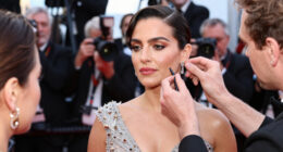 All The Looks From The 2026 Emmys Red Carpet